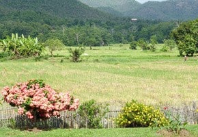 living in chiang mai province